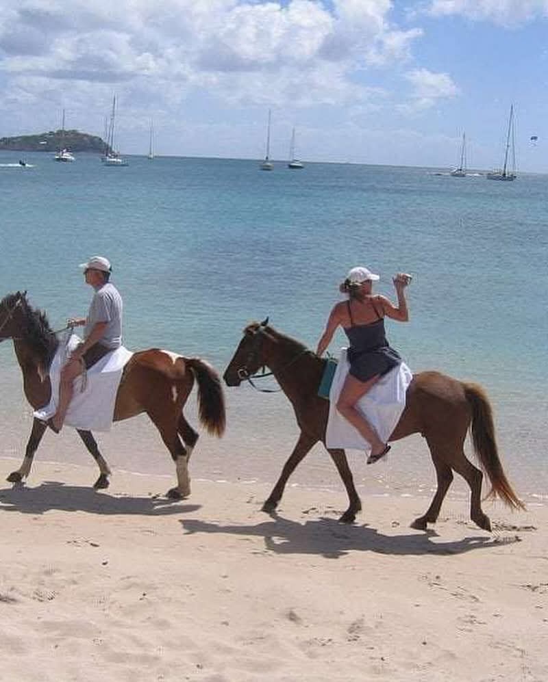 Horseback Ride & Swim - Saint Lucia